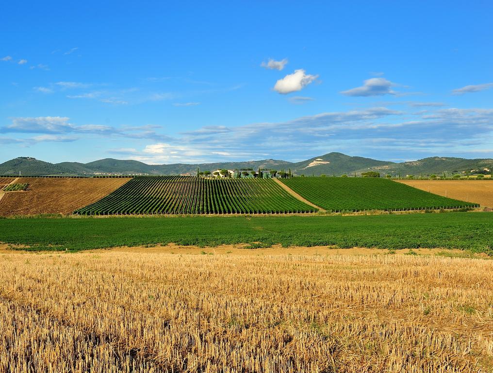 Tenuta Badia '99 2*